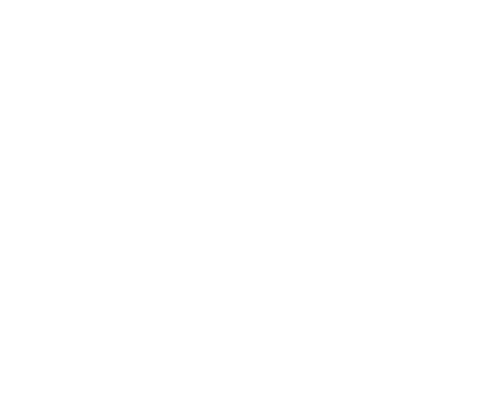 The Perth Wall Repair Co.